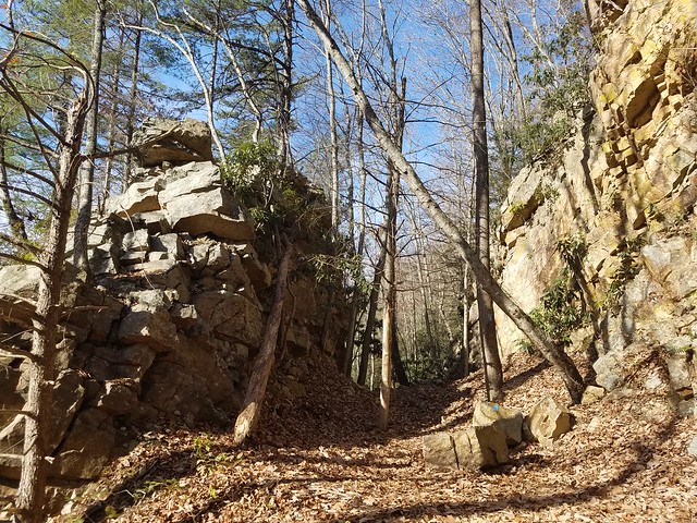Laurel Fork Falls Trail, TN