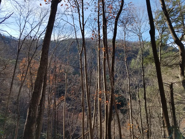 Laurel Fork Falls Trail, TN