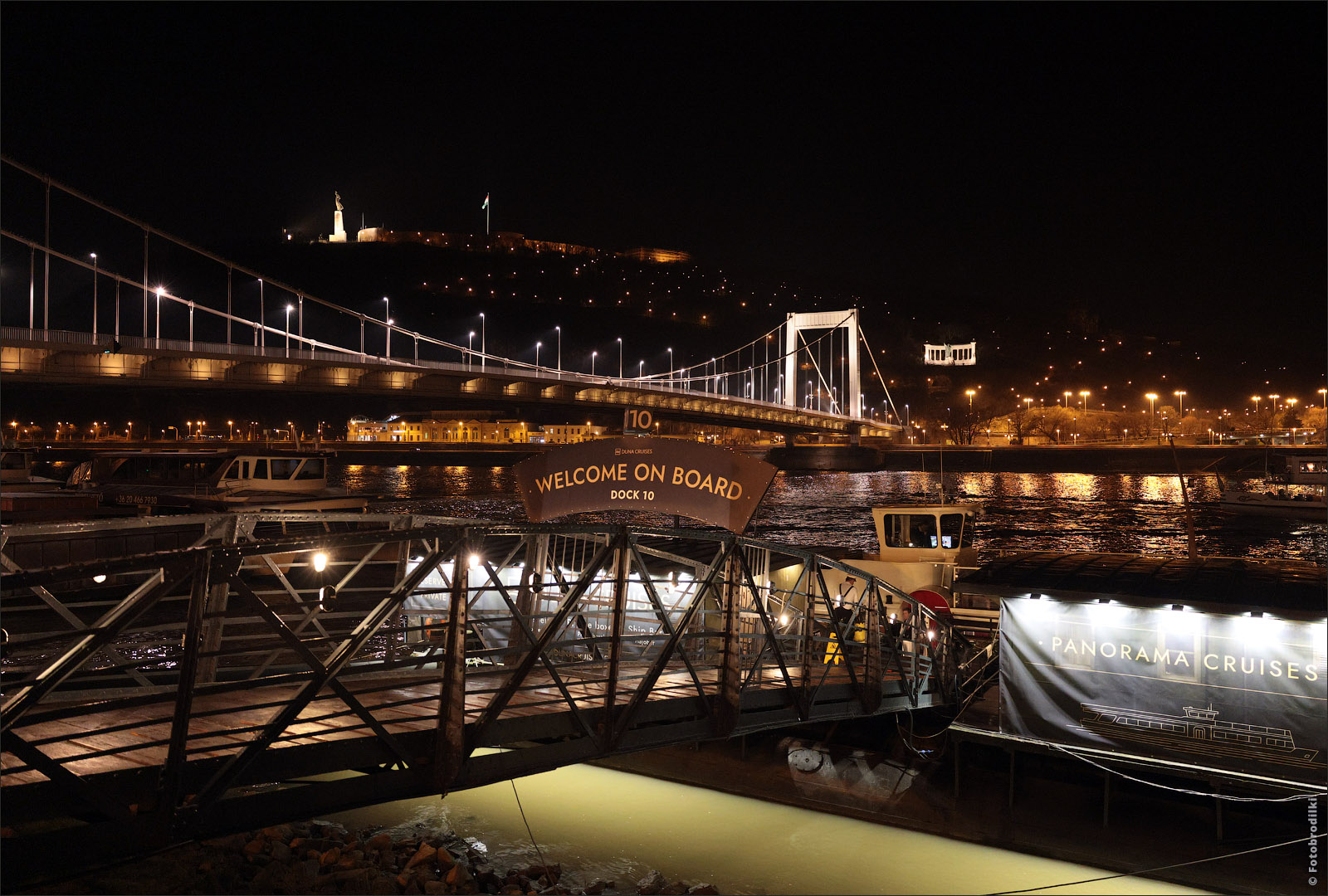 Мост Елизаветы, Будапешт, Венгрия