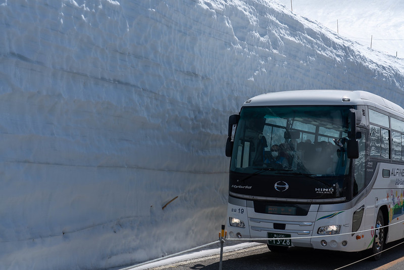 雪の大谷を通るバス