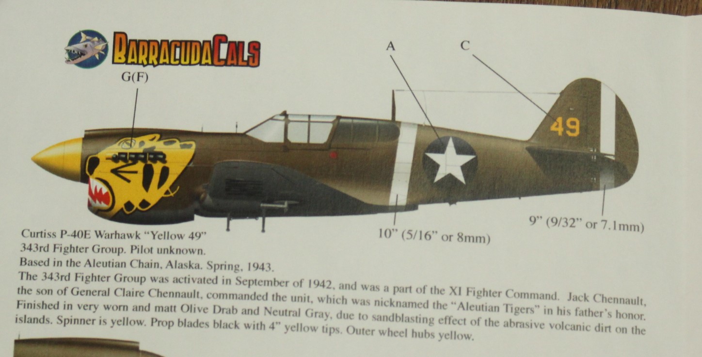 Curtiss P-40E Warhawk, Hasegawa 1/32 52723740475_eb9fca62d3_h