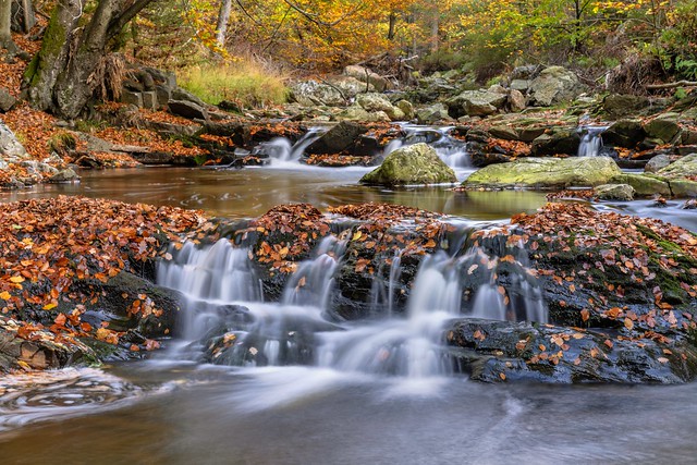 *Vallée de la Hoëgne @ autumn water II*
