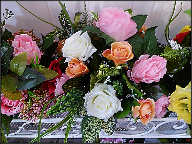 Selection of Roses ..
