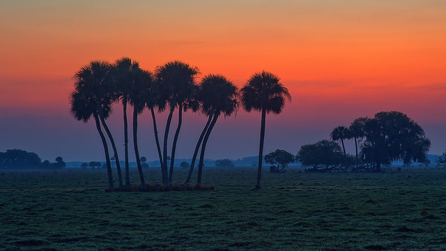 Silence before Sunrise