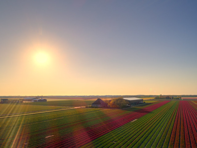 Bosweg, village of 't Zand, The Netherlands.