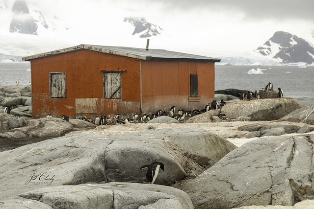 Petermann Island, Antarctic Peninsula