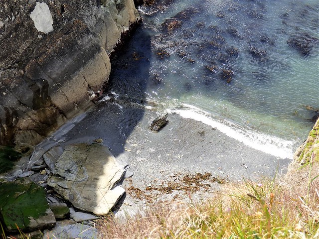 Limestone erosion, West Cork
