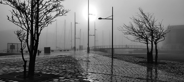 Misty morning at the Marina
