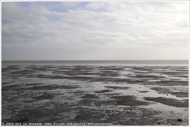 Waddenzee | Wadden Sea | Ваттовое море