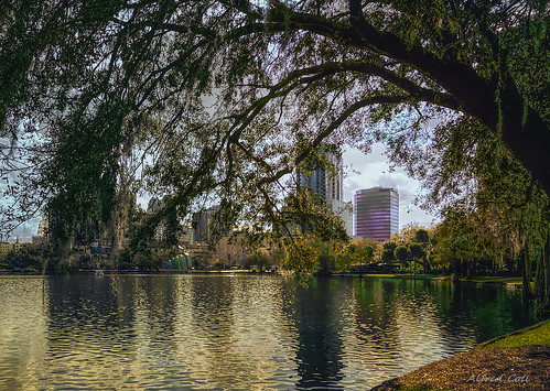 water clouds lake trees sky nature landscape city light summer horizontal ouside florida park orlando buildings outdoors skylines