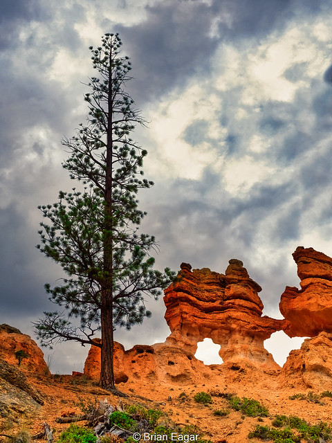 Bryce Canyon arches
