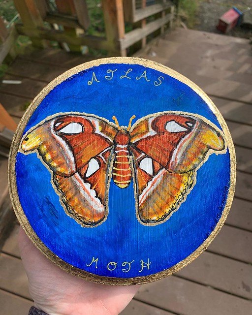 Completed Atlas moth painting for Goo. I’m not super impressed with how the gold leaf turned out, but it was my first try and I know he doesn’t mind!