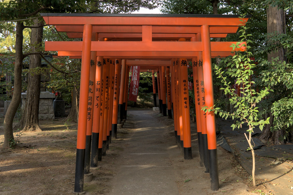 Higashi Fushimi Inari Torii
