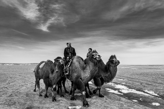 Mongolia (Gobi Desert. Gustavo Thomas © 2023)