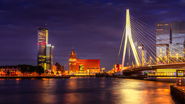 Rotterdam Erasmus Bridge at night