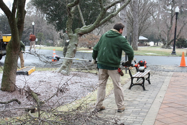 Tree-trimming on campus in winter