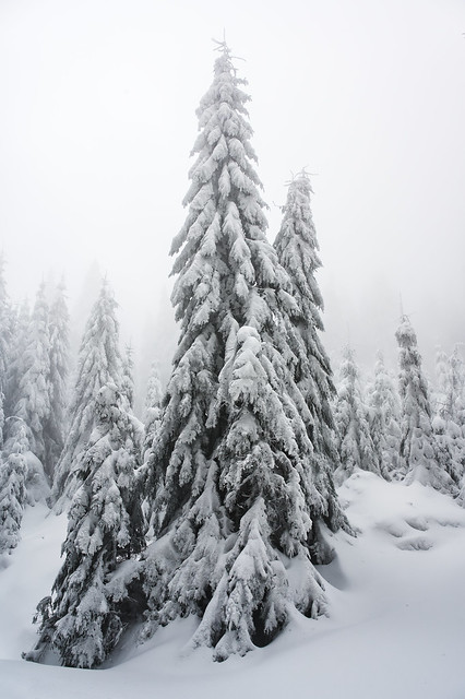 Winter in Eagle Mountains ( zima v Orlických horách)