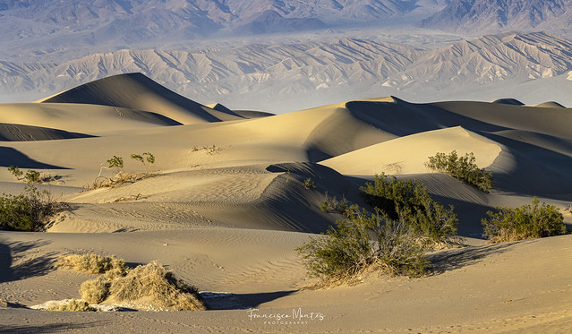 The Beauty of the Desert