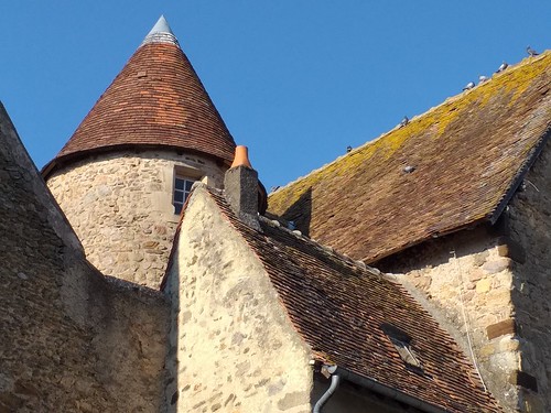 pigeons toits roof tuile saintbenoitdusault indre berry ville