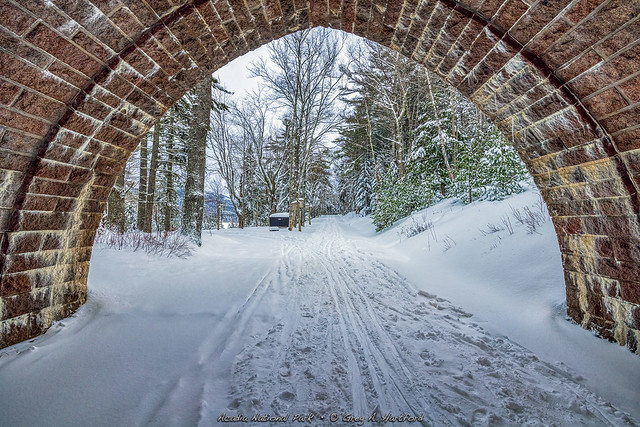 Acadia Carriage Road in Winter M1A7641