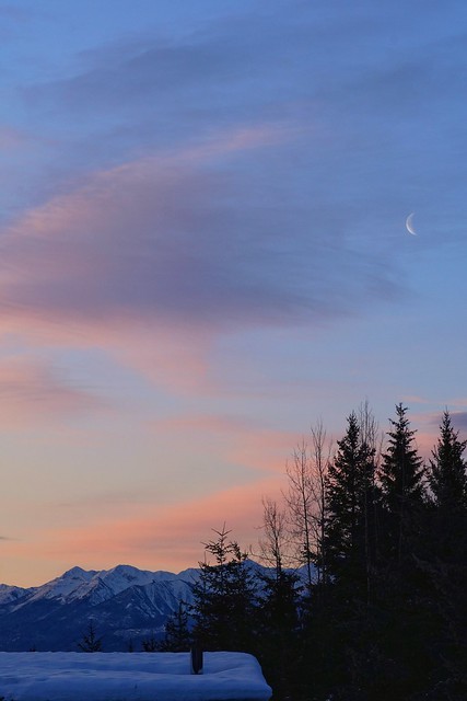 Morning Moon Rising | Lever de Lune matinal