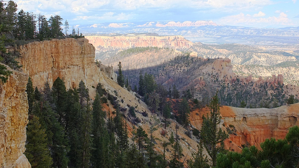 USA 2012 Bryce Canyon, Utah - a vast land full of nature