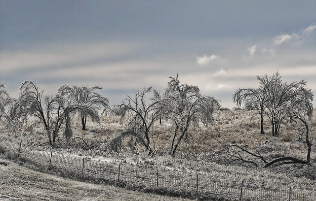 clearing ice storm on the prairie
