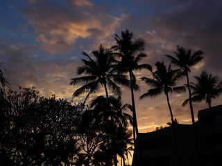 beautiful hula sunset