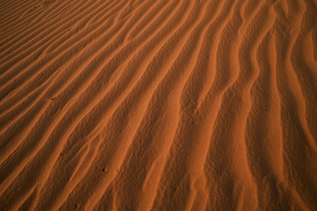 desert pattern