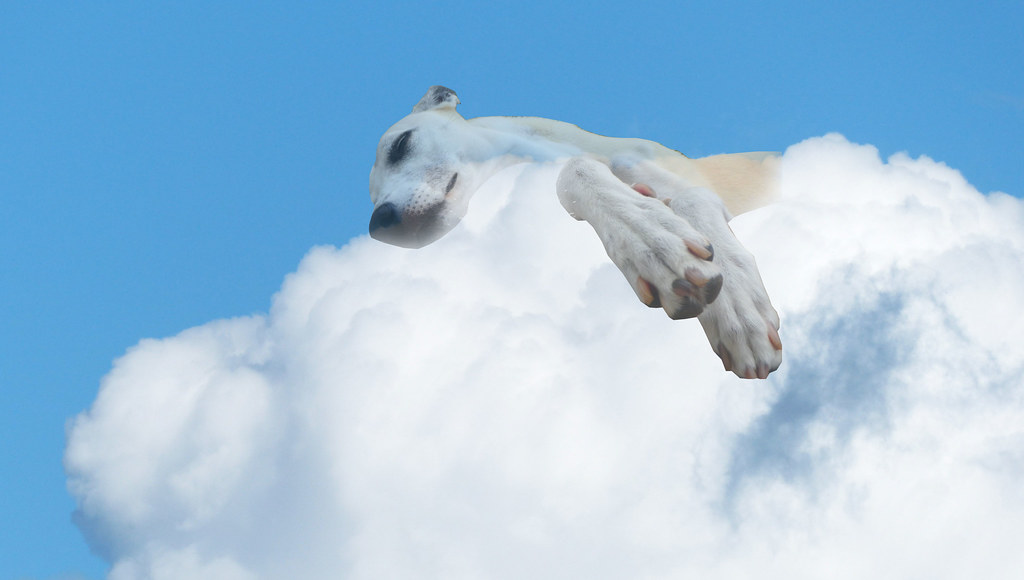 sleeping-in-the-clouds