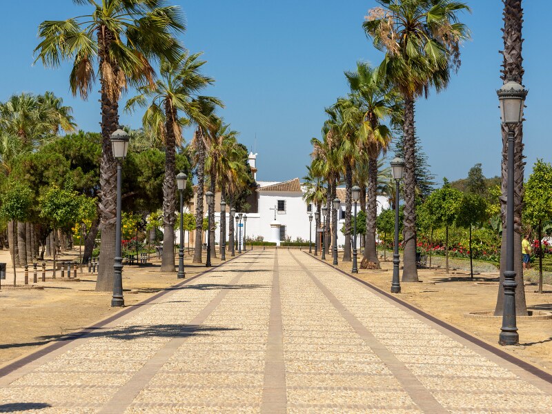 An alley leading to a white monastery, flanked by palm trees