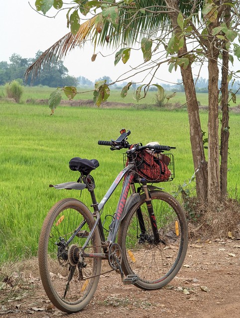 Rice Field Sukothai Province Northern Thailand Southeast-Asia © Reisfeld Nord-Thailand Asien ©