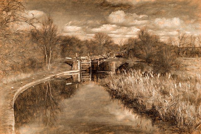 RUSTY CANAL DOODLE