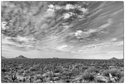 sky clouds cactus cacti desert landscape bw blackandwhite mcdowellsonoranpreserve nikonz9 panorama scene view arizona hike