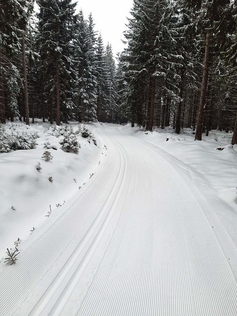 Foto: Krušnohorská lyžařská magistrála