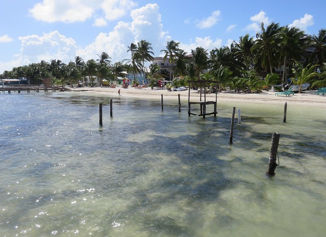 Caribbean Sea Beach and Docks (Caye Caulker, Belize)