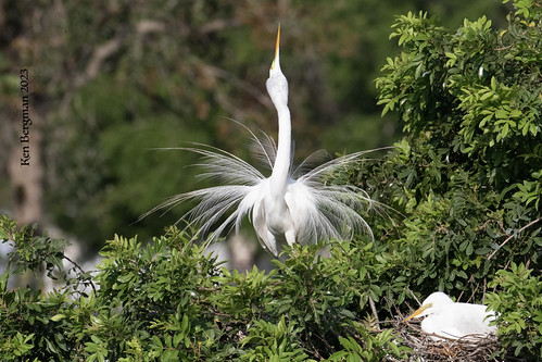 I dedicate this performance to myself | by wandering tattler