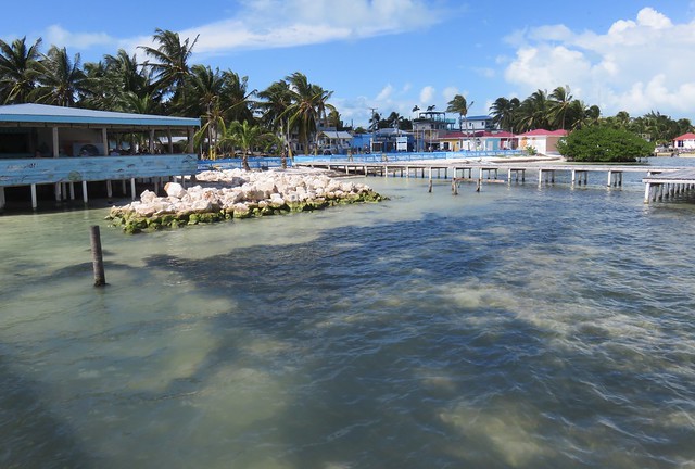 Caribbean Sea (Caye Caulker, Belize)