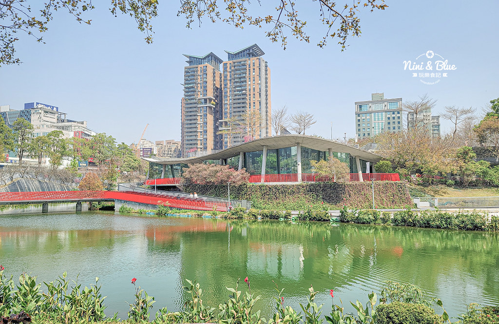 秋紅谷景觀生態公園 黑天鵝寶寶 台中免費景點20