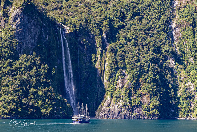 Magical cascade in Milford Sound NZ