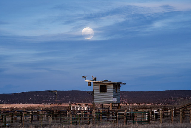 Moonrise over Cattle Station