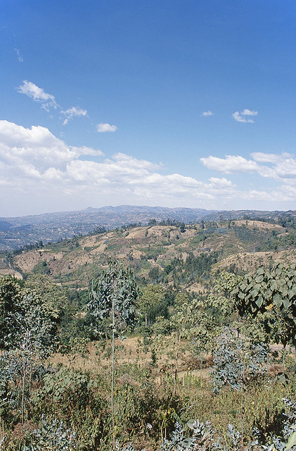Highlands Sidama region, Ethiopia