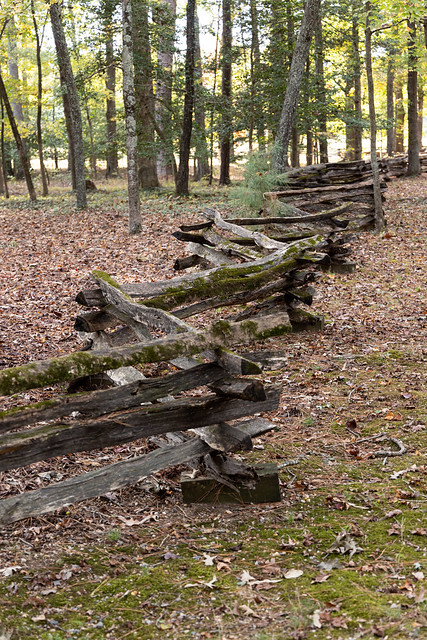 Fence, Sherwood Forest Plantation, Charles City County, Virginia, United States