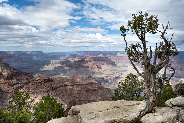 Grand Canyon view - Arizona - USA