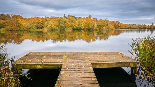 Autumn at Bolam Lake