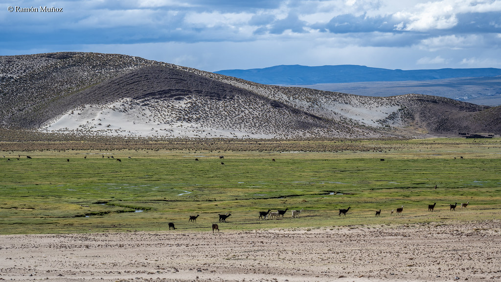 DSC0514 Paisaje del altiplano andino camino de Uyuni | Flickr