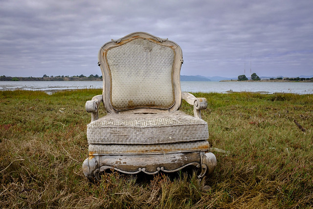 Empress Chair in the wetlands (II)