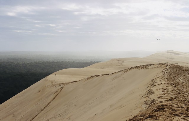 Sand exploration _ La Dune