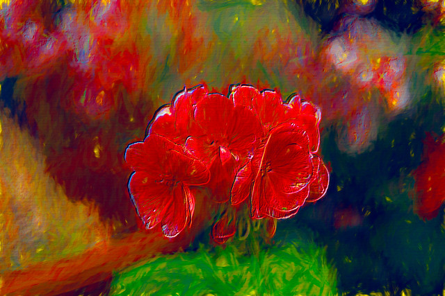 Red Blossoms 4392-edit-2