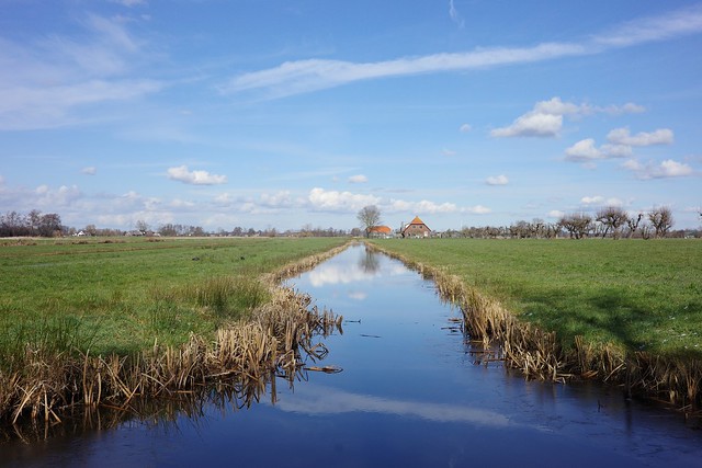 Dutch landscape in the center of the Netherlands (Explored)